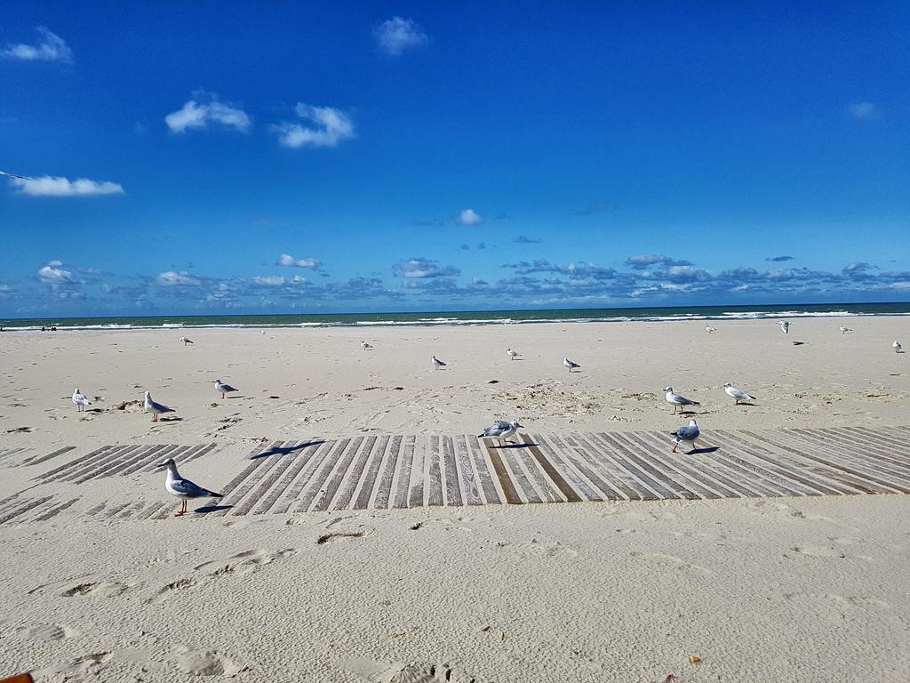 LES FRUITS DE MER, terrasse plein sud Berck Extérieur photo